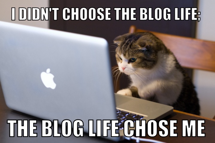 Blog Cat