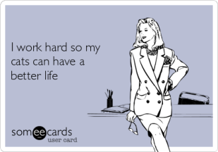 i-work-hard-so-my-cats-can-have-a-better-life-170e1