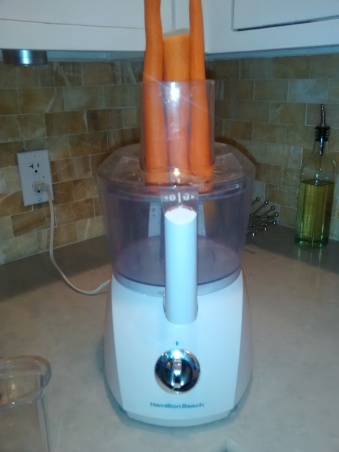 carrots-7-loading-food-process